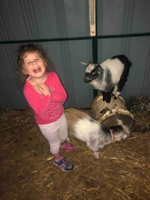 Lappi Farm Βίλα Berridale Εξωτερικό φωτογραφία
